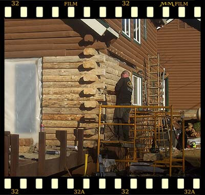 cowell wood restoration 6