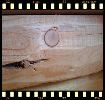 reilly wood restoration 4