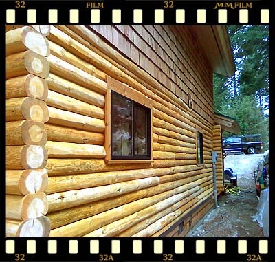 reilly wood restoration 5
